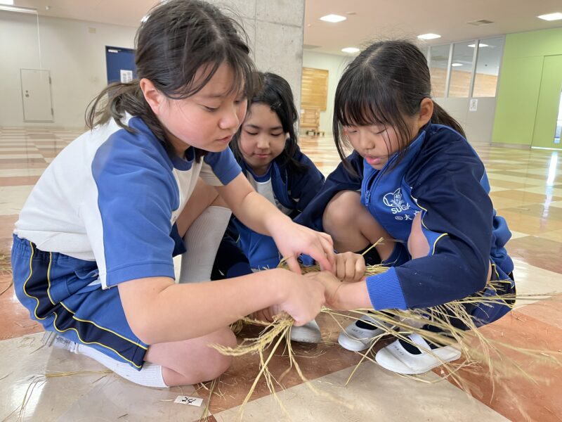 🍃ゆたか🍃５年生「藁飾りづくり」